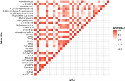 Investigating Doxorubicin’s mechanism of action in cervical cancer: a convergence of transcriptomic and metabolomic perspectives